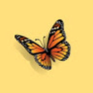 Meet your Posher, Yana